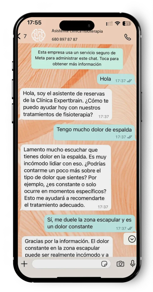 asistente con inteligencia artificial para clinicas de fisioterapia